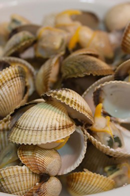 Berberechos - Restaurante El Cruce - Alcalá del Júcar