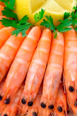 Langostino Cocido - Restaurante El Cruce - Alcalá del Júcar